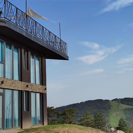 Vila Onyx Divčibare エクステリア 写真